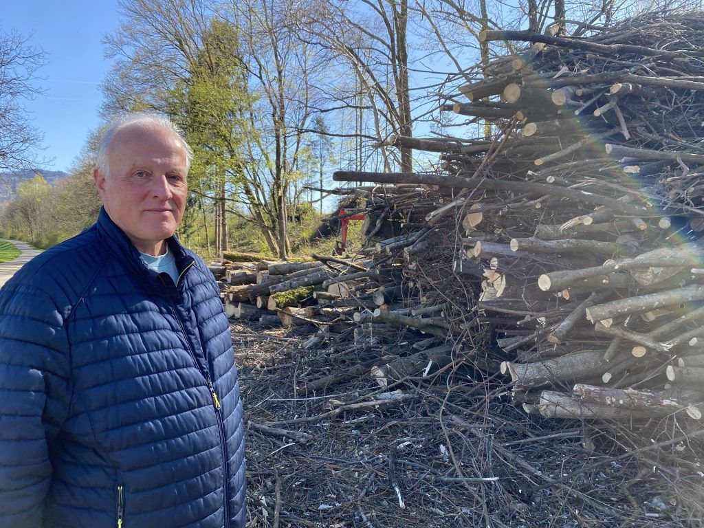 Gefällte Bäume an der A14 – &#8220;Was ist denn mit dem Naturschutz?&#8221;