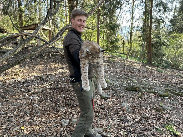 Wildpark Feldkirch, Auswilderung Luchs, Mika und Markus Herburger, Luchspaten
