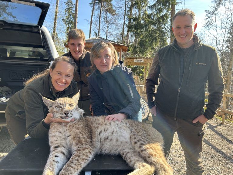 Wildpark Feldkirch, Auswilderung Luchs, Mika und Markus Herburger, Luchspaten