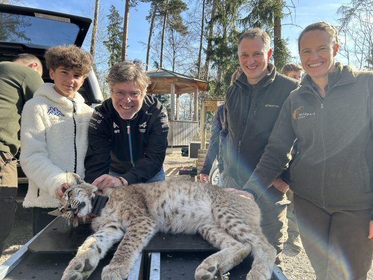 Wildpark Feldkirch, Auswilderung Luchs, Mika und Markus Herburger, Luchspaten