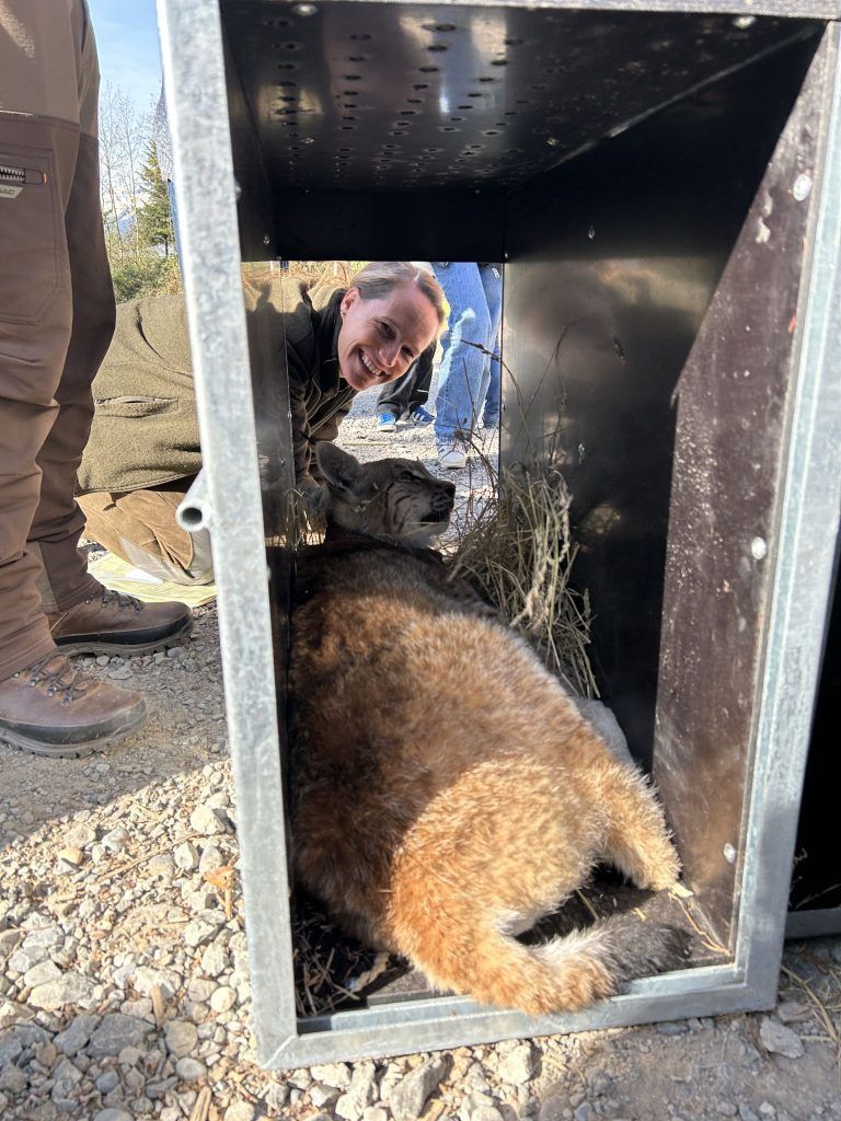 Wildpark Feldkirch, Auswilderung Luchs, Mika und Markus Herburger, Luchspaten