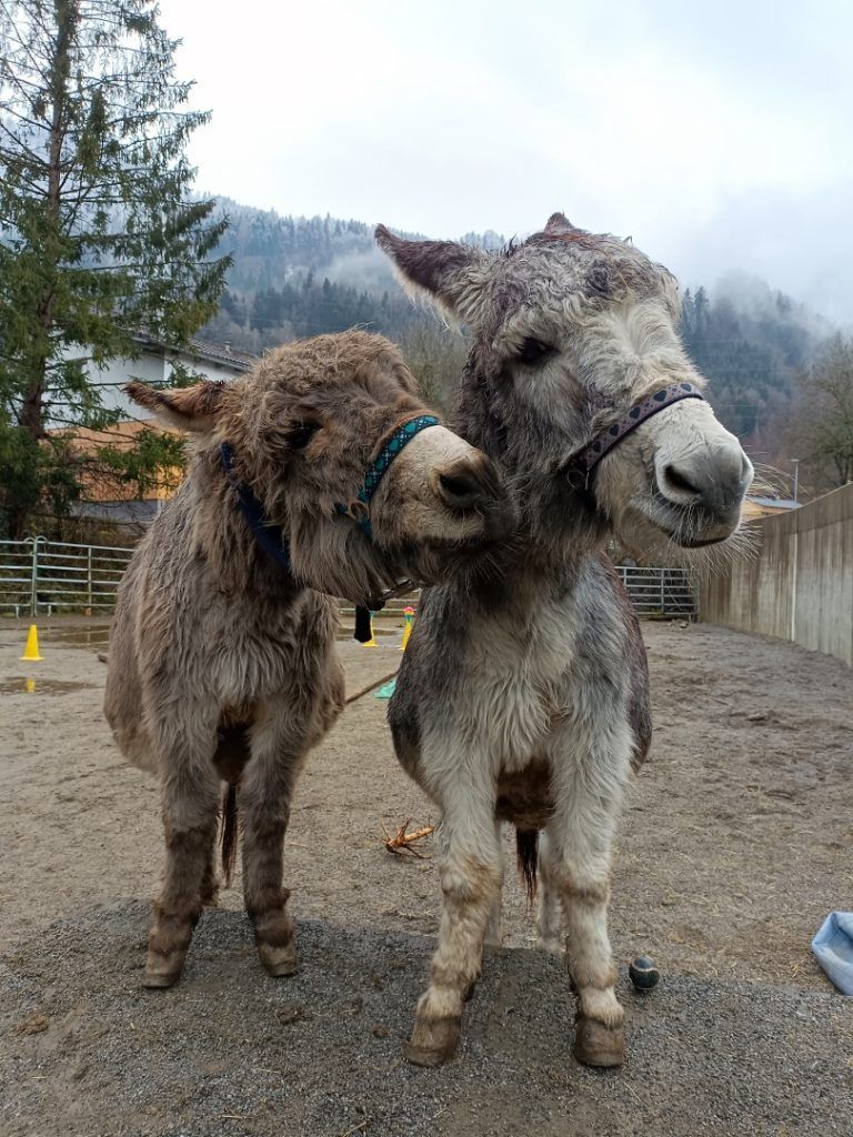 Von Bastelstunden bis Eier-Olympiade – hier wird’s in den Ferien nicht langweilig