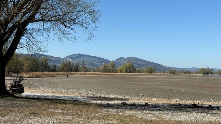 Wasserpegel Salzmann Hafen Bodensee Rohrspitz