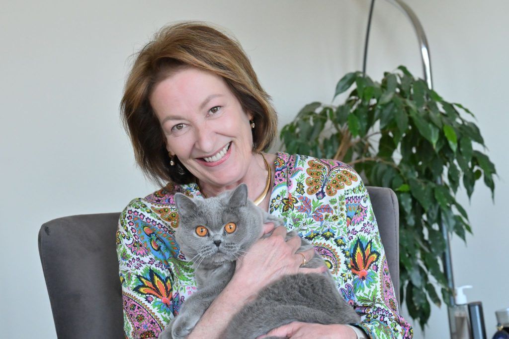 &#8220;Tierisch interessant&#8221;: Der Besuch der fremden Katze