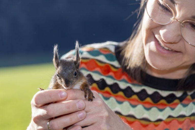 "Die Eichhörnchen laufen den Menschen aus Verzweiflung hinterher"