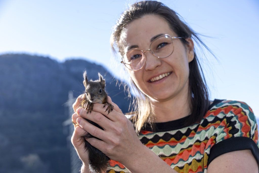 &#8220;Die Eichhörnchen laufen den Menschen aus Verzweiflung hinterher&#8221;