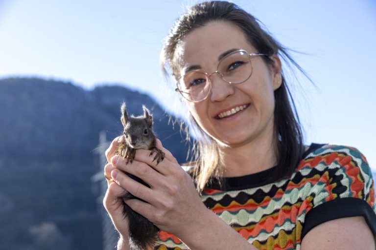 "Die Eichhörnchen laufen den Menschen aus Verzweiflung hinterher"