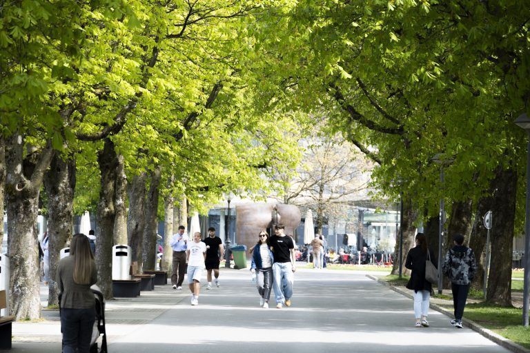 Zwischen Sonnenschein und Tief Darius: Wie wird das Osterwetter in Vorarlberg?