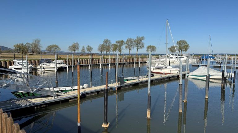 Wasserpegel Salzmann Hafen Bodensee Rohrspitz