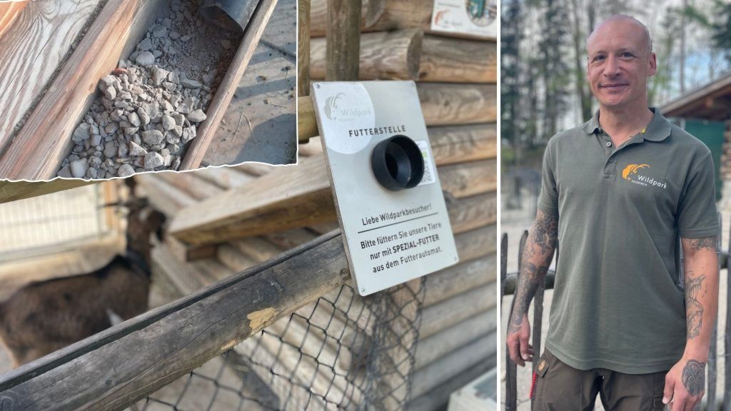 &#8220;Im schlimmsten Fall sterben sie daran&#8221;: Tierpfleger schlagen Alarm im Wildpark Feldkirch