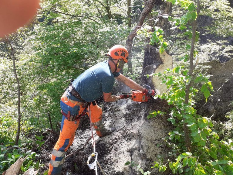 Felsräumungsspezialist Bernhar Drexel beim Freischneiden des Wegs zur Burgruine Valkastiel