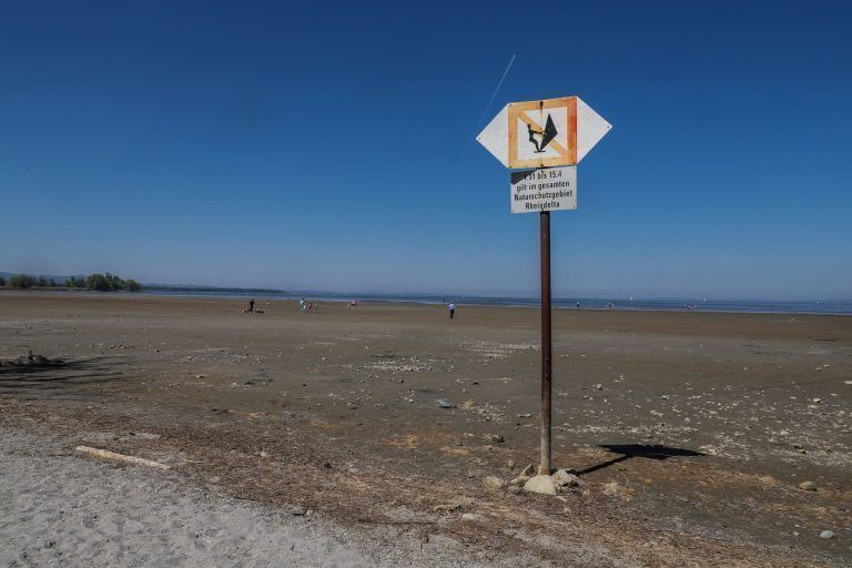 Niedrigwasser am Bodensee: Kaum Gefahr am Vorarlberger Ufer