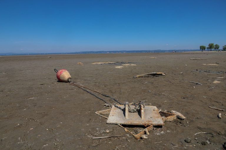 Niedrigwasser am Bodensee: Kaum Gefahr am Vorarlberger Ufer