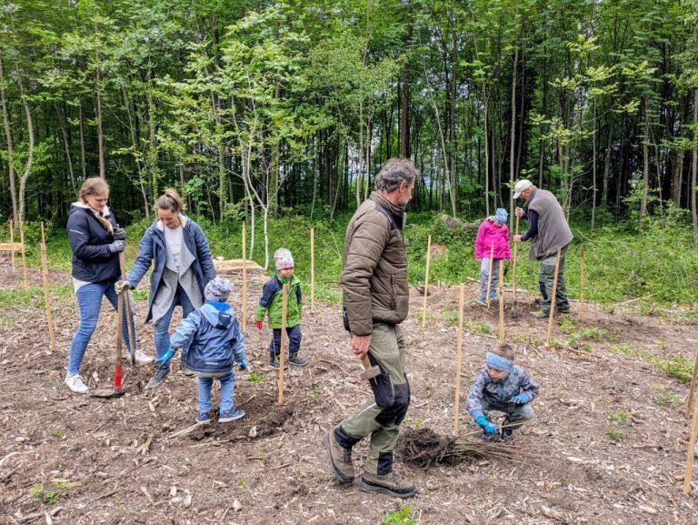 Sulner Auwald: 100 Bäume gepflanzt: Alle Helfer waren mit viel Elan dabei.
