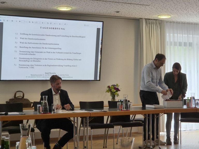 Standesrepräsentantenwahl, Stand Montafon