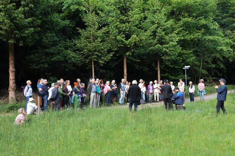 Besinnliches, Musik in Natur und Kirche: Besinnliches und Musik auf einer Waldwiese.