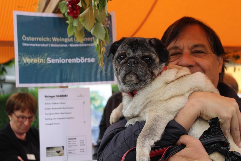 Weinseligkeit macht Lust auf mehr: Alles andere als „auf den Hund gekommen“ war das Winzer-Genussfest – die Hundedame Romy und sein Herrchen Beato Junker fühlten sich jedenfalls pudelwohl . . .