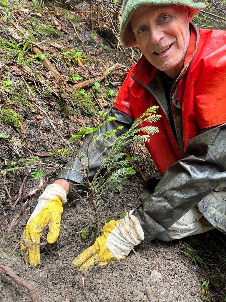 Wurzeln schlagen für die Zukunft: 31 Jahre Bergwaldprojekt im Montafon: Es muss klein beginnen - was einmal Schutz gewähren soll: Aufforstung von Jungpflanzen in einer Windwurffläche ist auch bei Nässe für die Freiwilligen kein Problem..