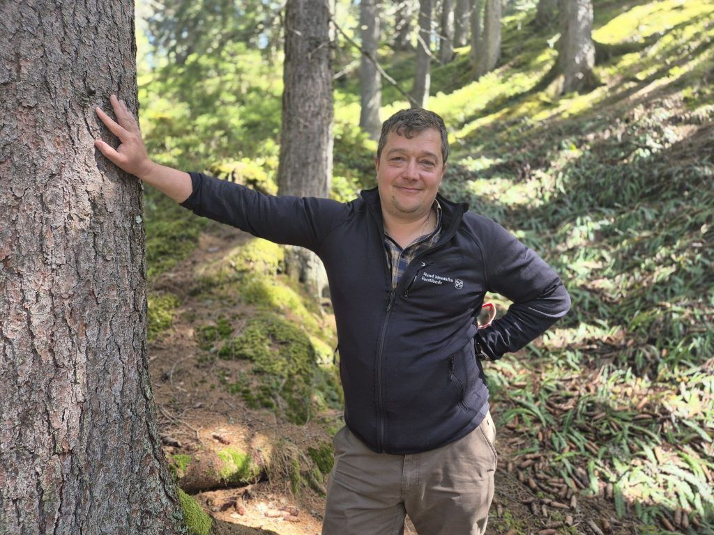 Warum die Wälder im Montafon selten älter als 250 Jahre werden