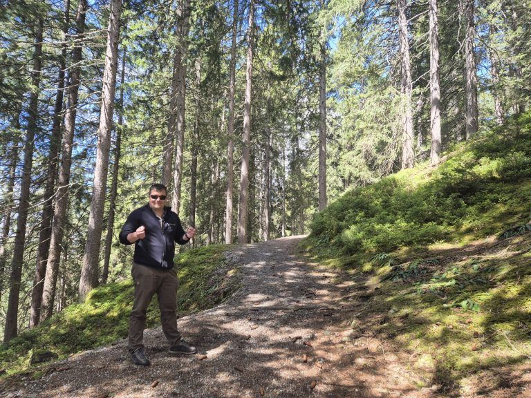 Wald, Schutzwald, Naturverjüngung, Forstfonds, Montafon, Forstbetrieb