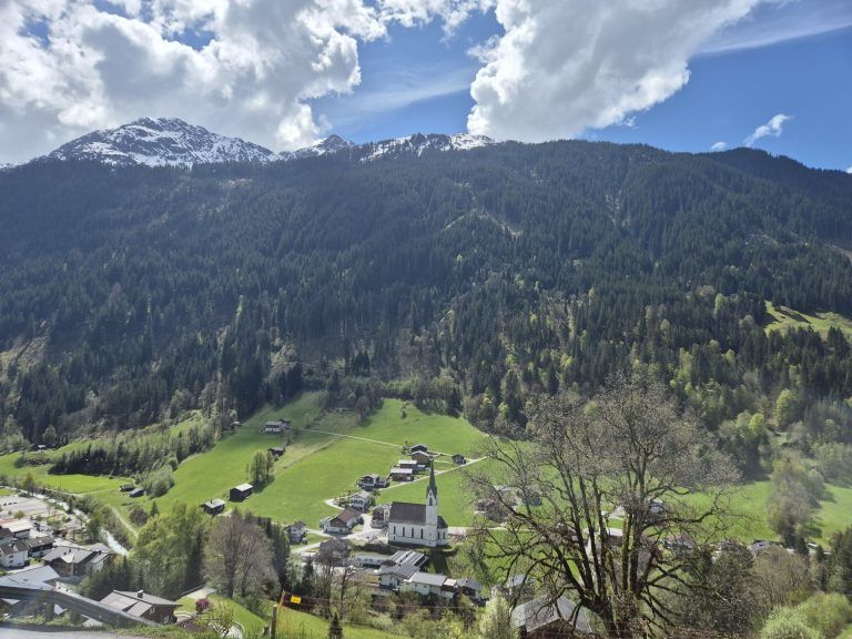 Wald, Schutzwald, Naturverjüngung, Forstfonds, Montafon, Forstbetrieb