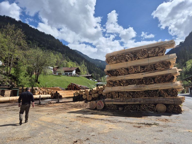 Wald, Schutzwald, Naturverjüngung, Forstfonds, Montafon, Forstbetrieb