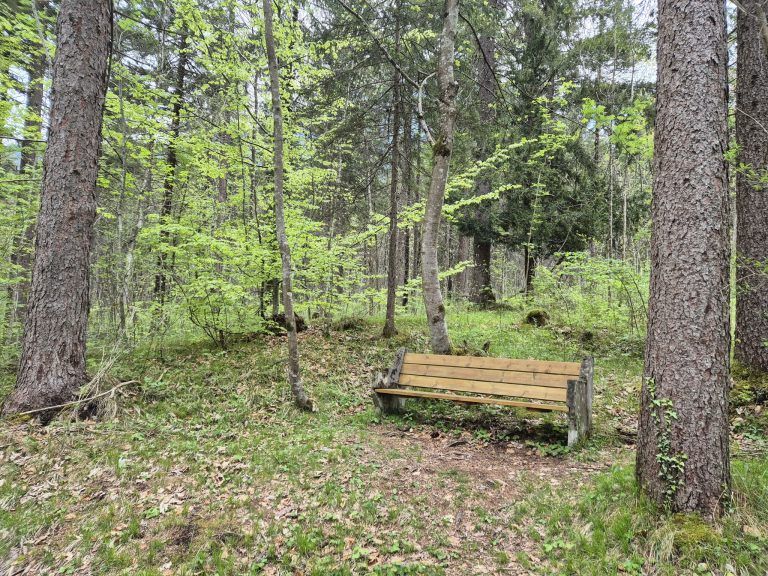 Waldfriedhof St. Anton, Wald