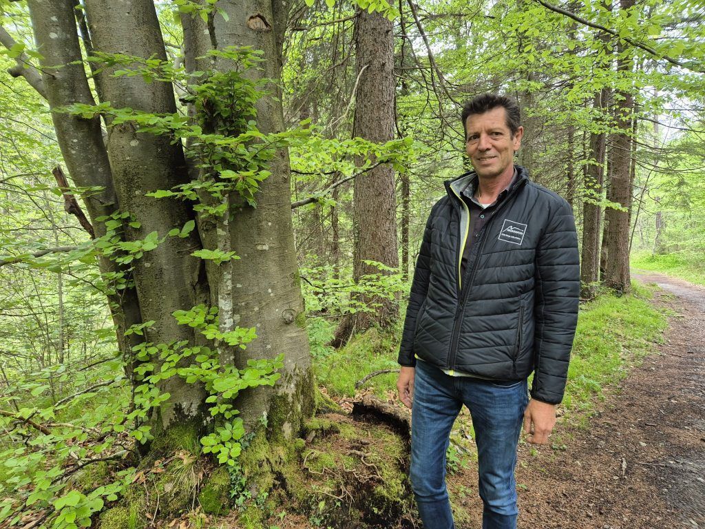 Zweiter Waldfriedhof in Vorarlberg geplant: &#8220;Die Nachfrage ist groß&#8221;