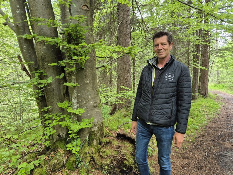 Waldfriedhof St. Anton, Wald