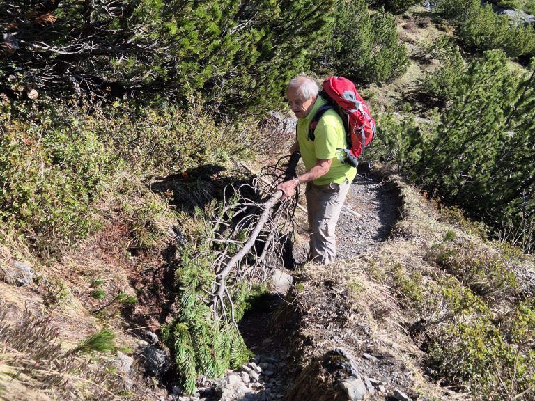 Wandern, Wanderwege, Berge, Montafon