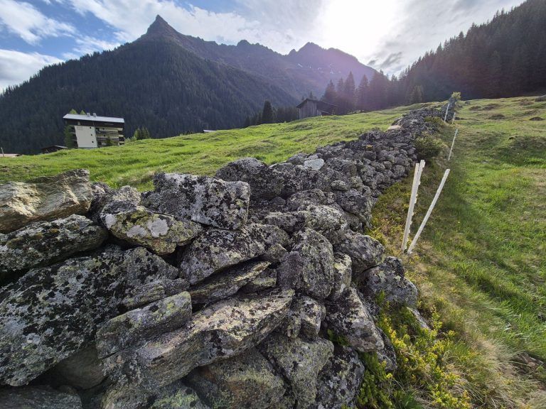 Trockensteinmauer Vergalden, Via Valtellina, BOKU Wien, Alpe Valzifenz