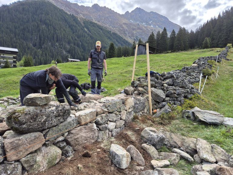Trockensteinmauer Vergalden, Via Valtellina, BOKU Wien, Alpe Valzifenz