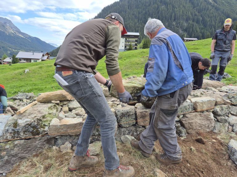 Trockensteinmauer Vergalden, Via Valtellina, BOKU Wien, Alpe Valzifenz