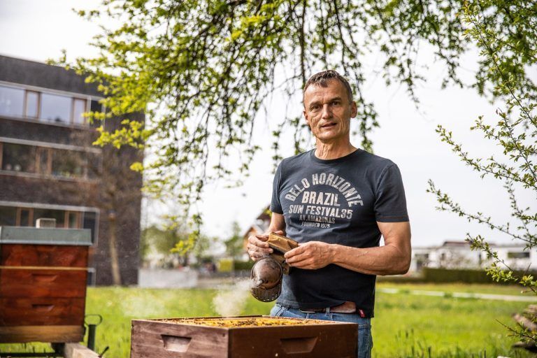 Alarm im Bienenparadies: „Es ist eine recht fragile Angelegenheit“