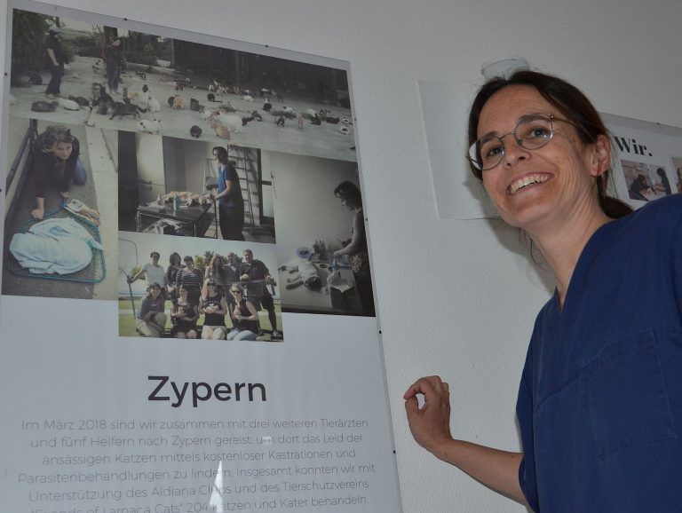 Engagiert für Tier und Mensch: Mit der Organisation „Tierärzte Grenzenlos“ führt Andrea Lackner-Oberle auf Zypern Katzenkastrationen durch. HRJ