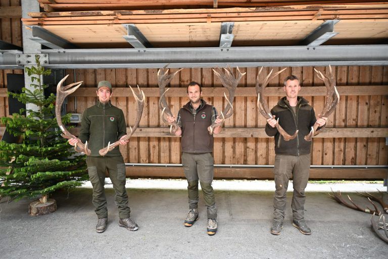 Die Sieger-Geweihe Notar, Jürgen und Gluriser.