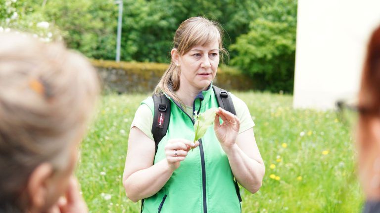 Urbane Kräuterwanderung durch Hohenems: Pflanzen sollten immer einzeln und mit Bedacht gepflückt werden, um die Natur zu schonen und ungenießbare Doppelgänger stehen zu lassen. Tanja Rusch zeigt, wie man Bärlauch an seinen einzeln wachsenden Blättern erkennt.