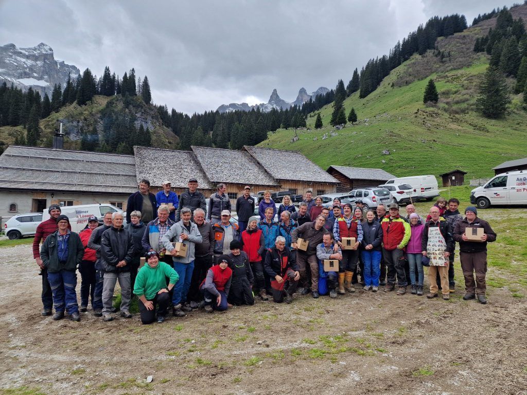 Alpe Untere Spora wurde sommerfrisch gemacht