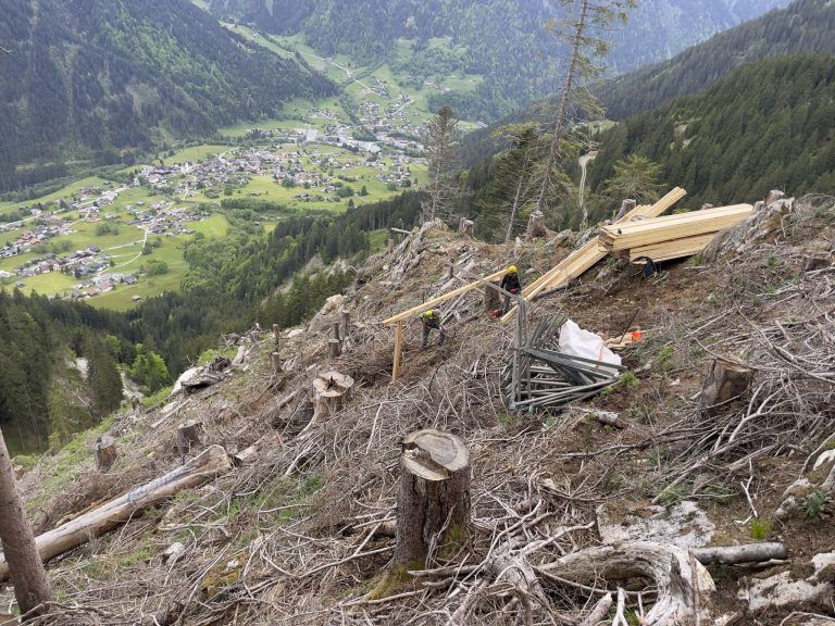 Wurzeln schlagen für die Zukunft: 31 Jahre Bergwaldprojekt im Montafon: Der Schutzwald oberhalb von St.Gallenkirch muss wieder von Null neu aufgebaut werden - und das möglichst schnell.