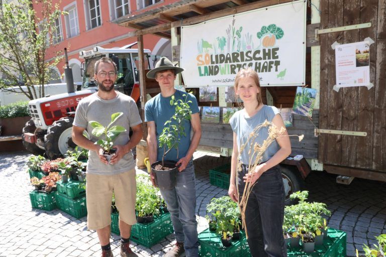 Chance auf alte Pflanzensorten: Matthias Henning, Christoph Kaufmann und Lisa Vesely von "Solawi Rankweil".