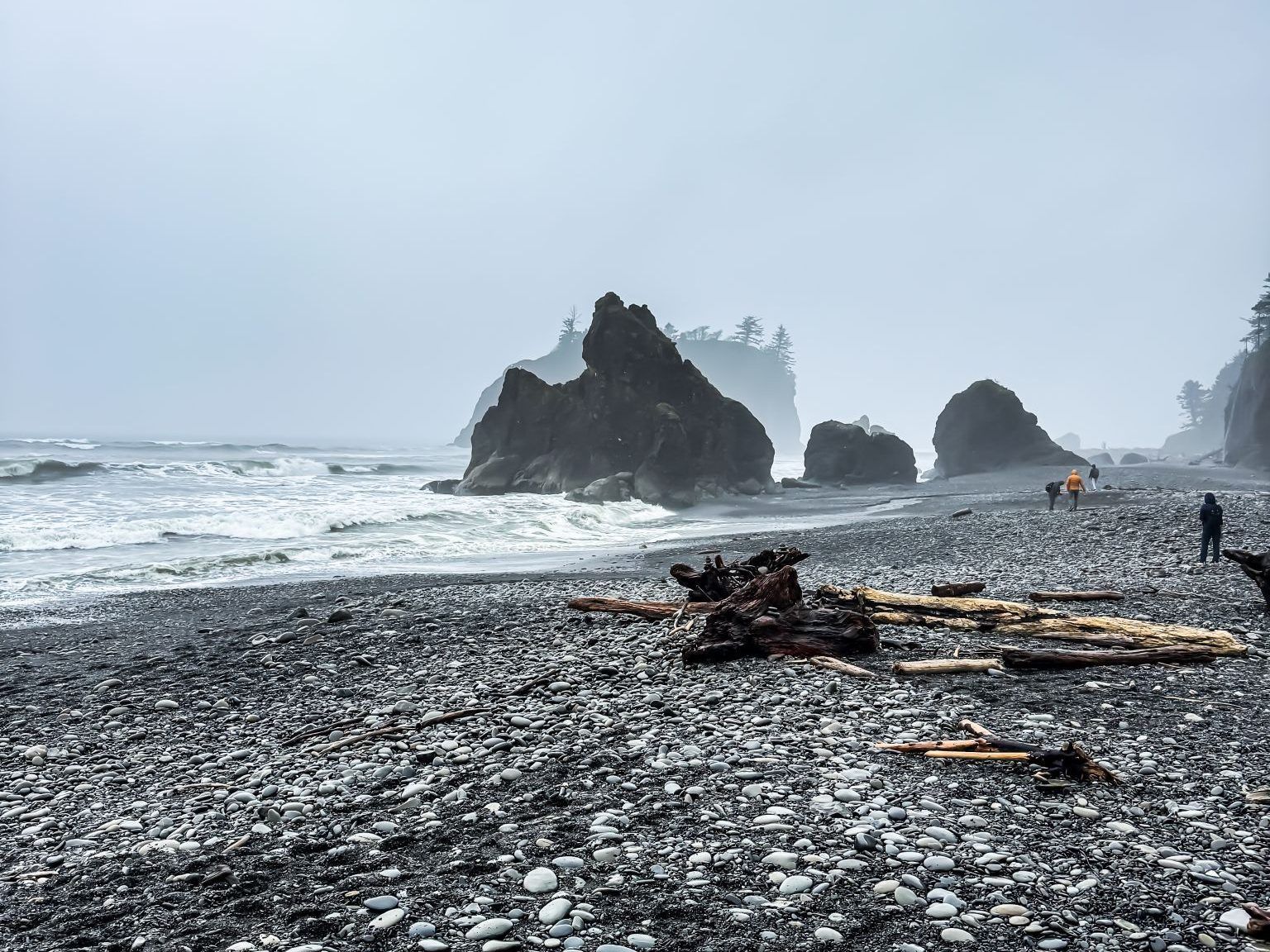 Grunge, Glas und Großstadtflair: Unterwegs in Seattle und Washington State