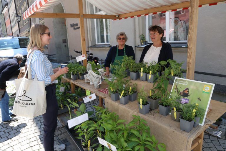 Chance auf alte Pflanzensorten: Gespräch am Stand von erne bio.