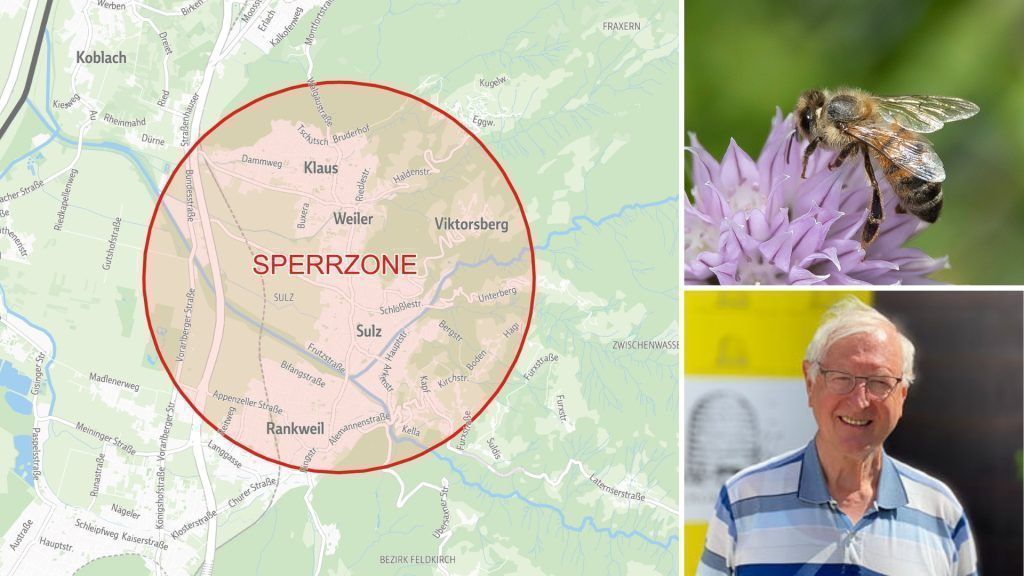 Seuchenausbruch in Röthis: „Wichtig, dass die Behörden rasch reagieren“