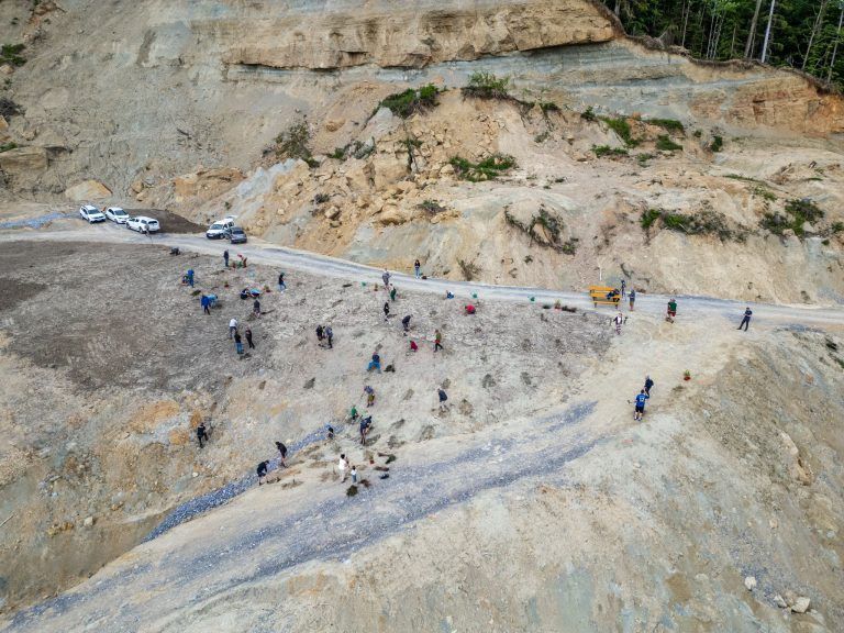 Wiederaufforstung nach Hangrutsch in Hochreute, Hörbranz