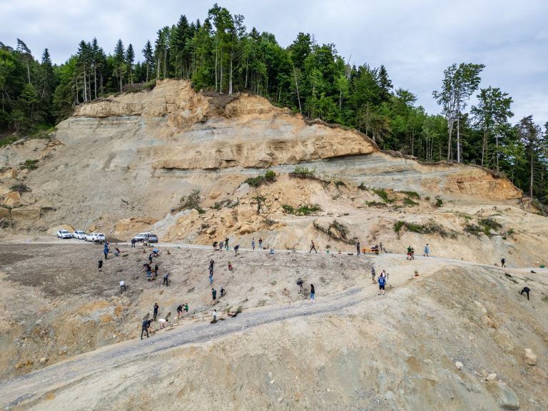 Wiederaufforstung nach Hangrutsch in Hochreute, Hörbranz