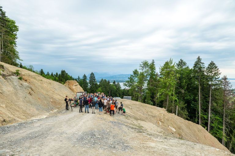 Wiederaufforstung nach Hangrutsch in Hochreute, Hörbranz