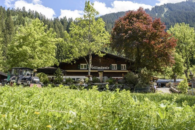 Almhütte Fellimännle