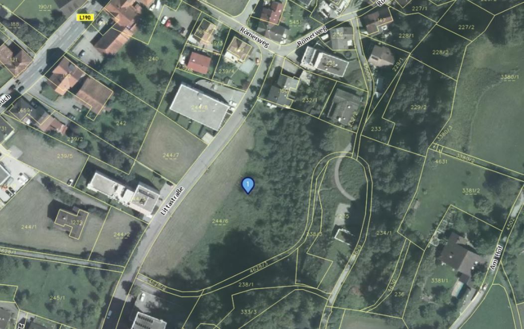 Land Vorarlberg: data.vorarlberg.gv.at, BEV (DKM)