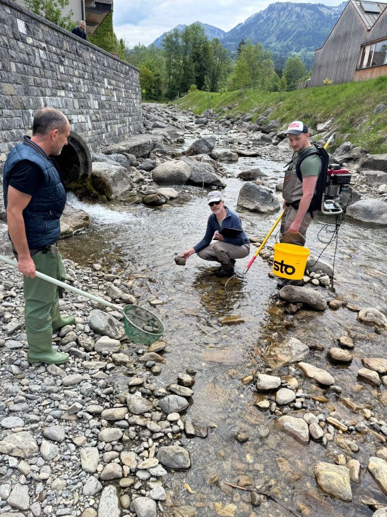 Tote Fische im Schmitterbach in Egg