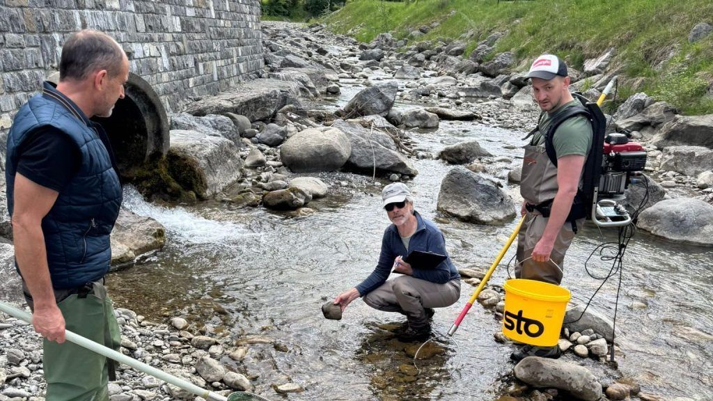 Großes Rätselraten um Fischsterben in Egg